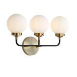 Iris Brass Vanity Wall Sconce Frosted