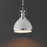 Patterson Adjustable Iron/Glass Vintage Classic LED Pendant