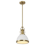 Patterson Adjustable Iron/Glass Vintage Classic LED Pendant