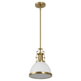 Patterson Adjustable Iron/Glass Vintage Classic LED Pendant