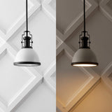 Patterson Adjustable Iron/Glass Vintage Classic LED Pendant
