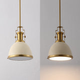 Patterson Adjustable Iron/Glass Vintage Classic LED Pendant