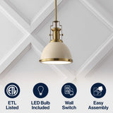 Patterson Adjustable Iron/Glass Vintage Classic LED Pendant