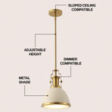 Patterson Adjustable Iron/Glass Vintage Classic LED Pendant