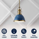 Patterson Adjustable Iron/Glass Vintage Classic LED Pendant