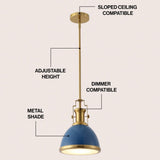 Patterson Adjustable Iron/Glass Vintage Classic LED Pendant