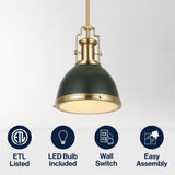 Patterson Adjustable Iron/Glass Vintage Classic LED Pendant