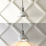 Patterson Adjustable Iron/Glass Vintage Classic LED Pendant