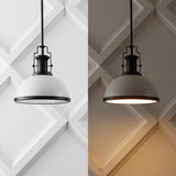Patterson Adjustable Iron/Glass Vintage Classic LED Pendant