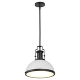 Patterson Adjustable Iron/Glass Vintage Classic LED Pendant