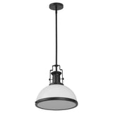 Patterson Adjustable Iron/Glass Vintage Classic LED Pendant