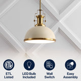 Patterson Adjustable Iron/Glass Vintage Classic LED Pendant