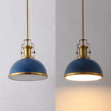 Patterson Adjustable Iron/Glass Vintage Classic LED Pendant