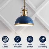 Patterson Adjustable Iron/Glass Vintage Classic LED Pendant