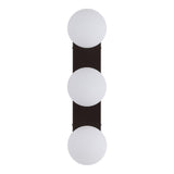 Myrtle 23.3 in. 3-Light Mid-Century Modern Metal and Frosted Glass Globe LED Vanity Light
