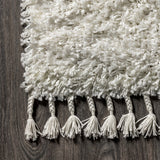 Santiago Mercer Shag Plush Tassel Area Rug