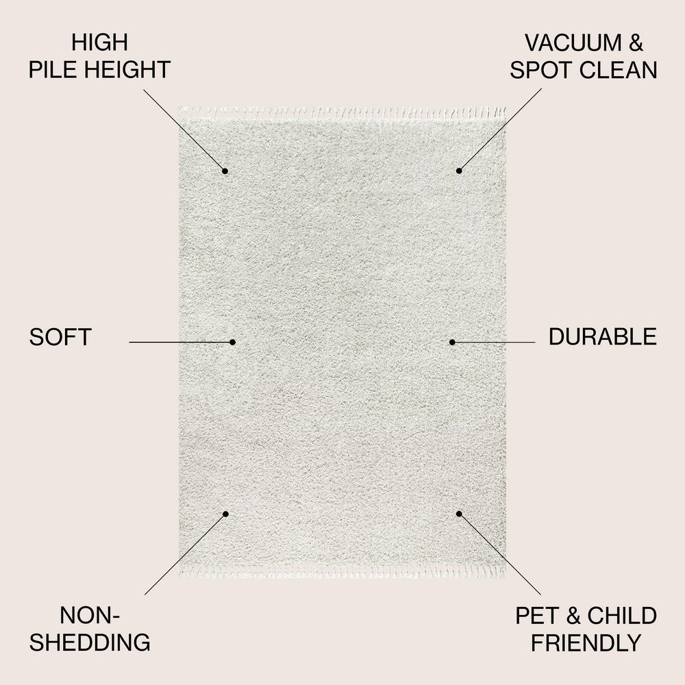 Santiago Mercer Shag Plush Tassel Area Rug
