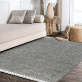 Santiago Mercer Shag Plush Tassel Area Rug