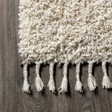 Santiago Mercer Shag Plush Tassel Area Rug
