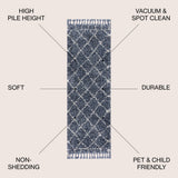 Denver Mercer Shag Plush Tassel Area Rug