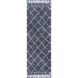 Denver Mercer Shag Plush Tassel Area Rug