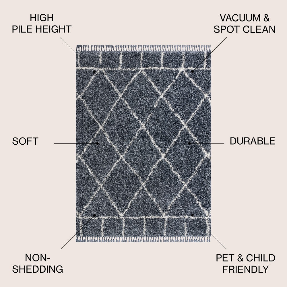 Denver Mercer Shag Plush Tassel Area Rug