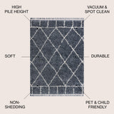 Denver Mercer Shag Plush Tassel Area Rug
