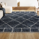 Denver Mercer Shag Plush Tassel Area Rug