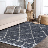 Denver Mercer Shag Plush Tassel Area Rug
