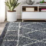 Denver Mercer Shag Plush Tassel Area Rug