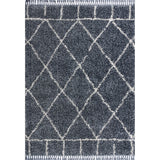 Denver Mercer Shag Plush Tassel Area Rug