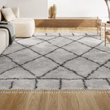 Denver Mercer Shag Plush Tassel Area Rug