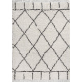 Denver Mercer Shag Plush Tassel Area Rug