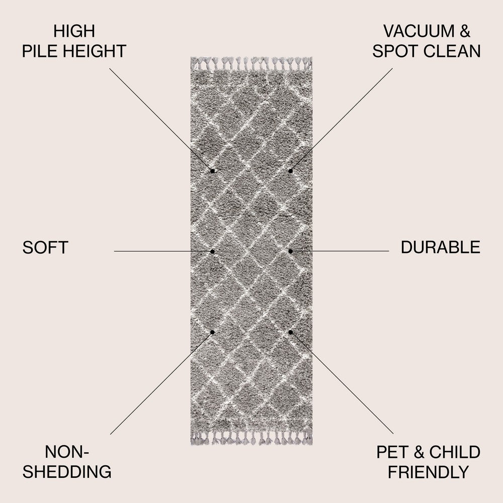 Denver Mercer Shag Plush Tassel Area Rug