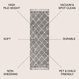 Denver Mercer Shag Plush Tassel Area Rug