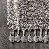 Denver Mercer Shag Plush Tassel Area Rug
