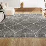 Denver Mercer Shag Plush Tassel Area Rug