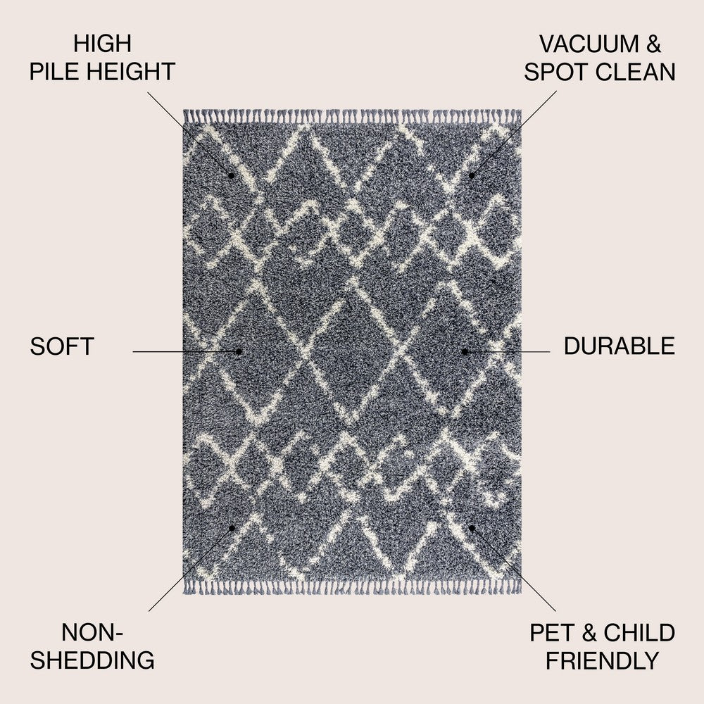 Eden Mercer Shag Plush Tassel Area Rug