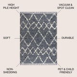 Eden Mercer Shag Plush Tassel Area Rug