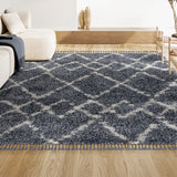 Eden Mercer Shag Plush Tassel Area Rug
