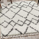 Eden Mercer Shag Plush Tassel Area Rug
