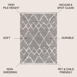 Eden Mercer Shag Plush Tassel Area Rug