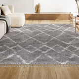 Eden Mercer Shag Plush Tassel Area Rug