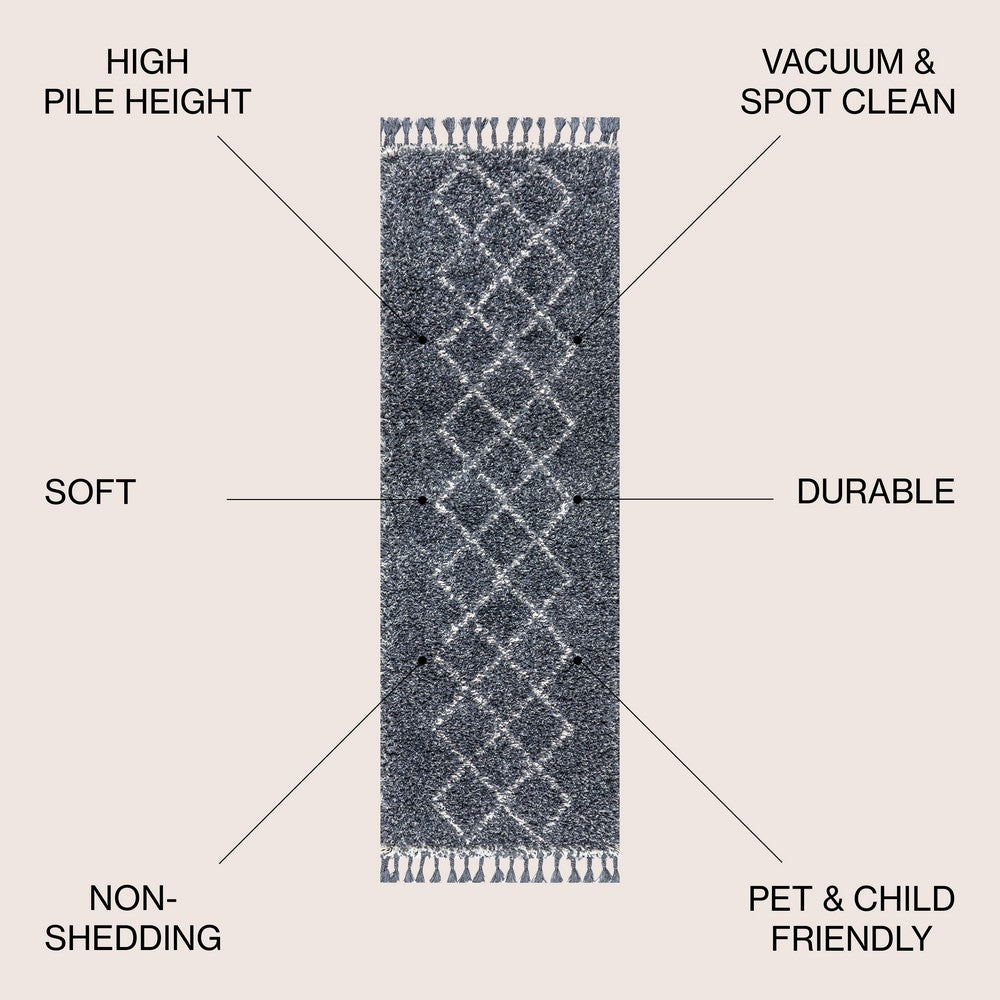 Leland Mercer Shag Plush Tassel Area Rug