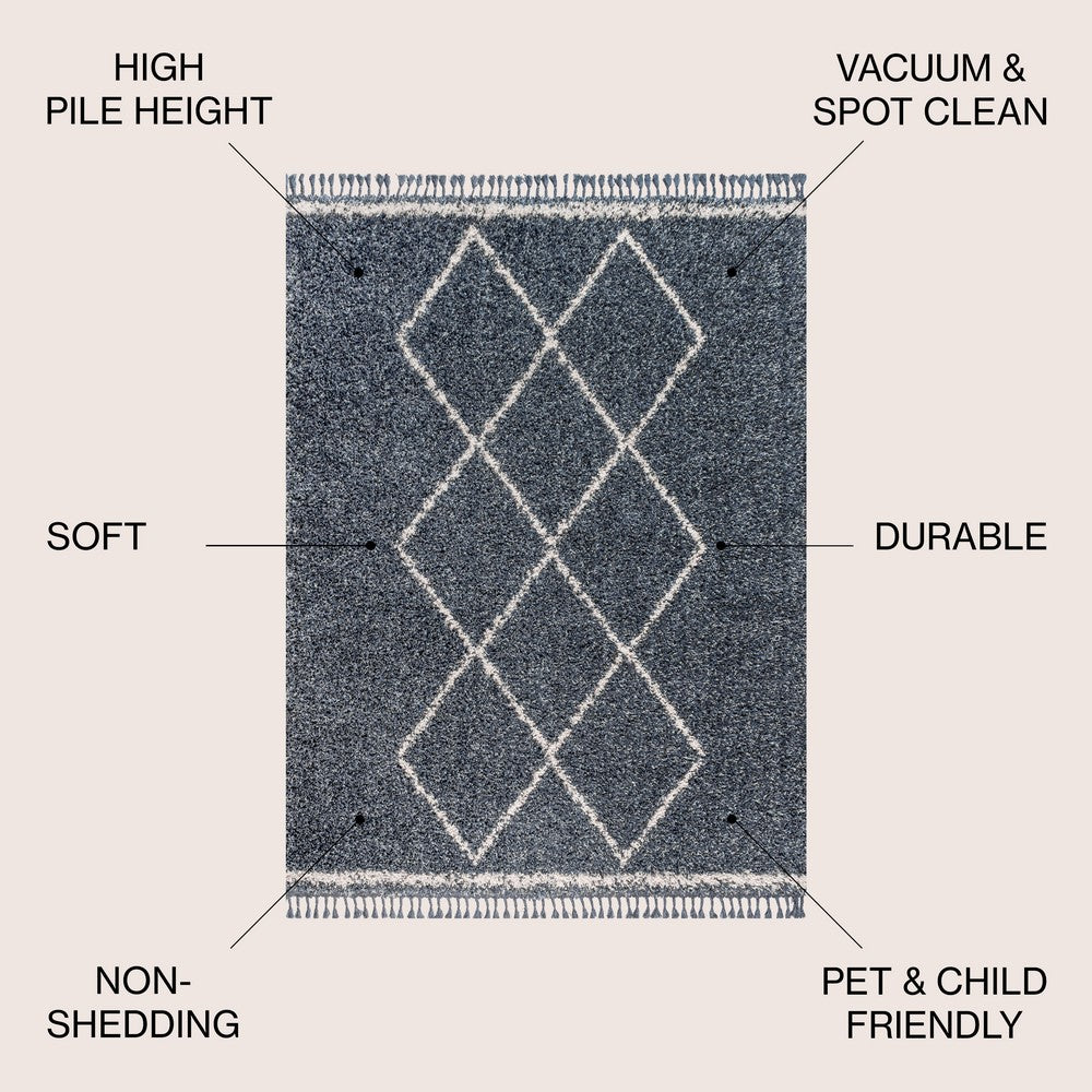 Leland Mercer Shag Plush Tassel Area Rug