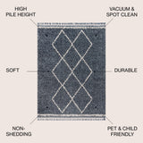 Leland Mercer Shag Plush Tassel Area Rug