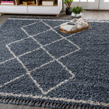 Leland Mercer Shag Plush Tassel Area Rug