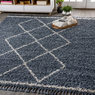 Leland Mercer Shag Plush Tassel Area Rug