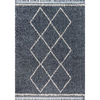Leland Mercer Shag Plush Tassel Area Rug