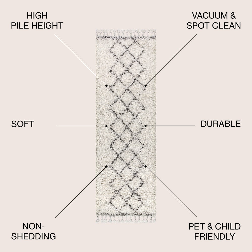 Leland Mercer Shag Plush Tassel Area Rug